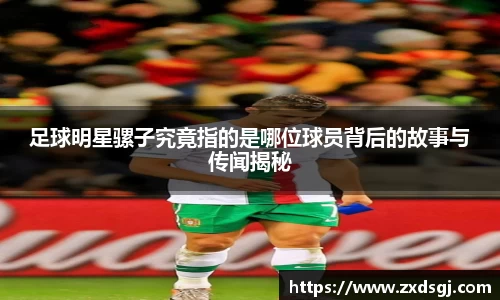 足球明星骡子究竟指的是哪位球员背后的故事与传闻揭秘